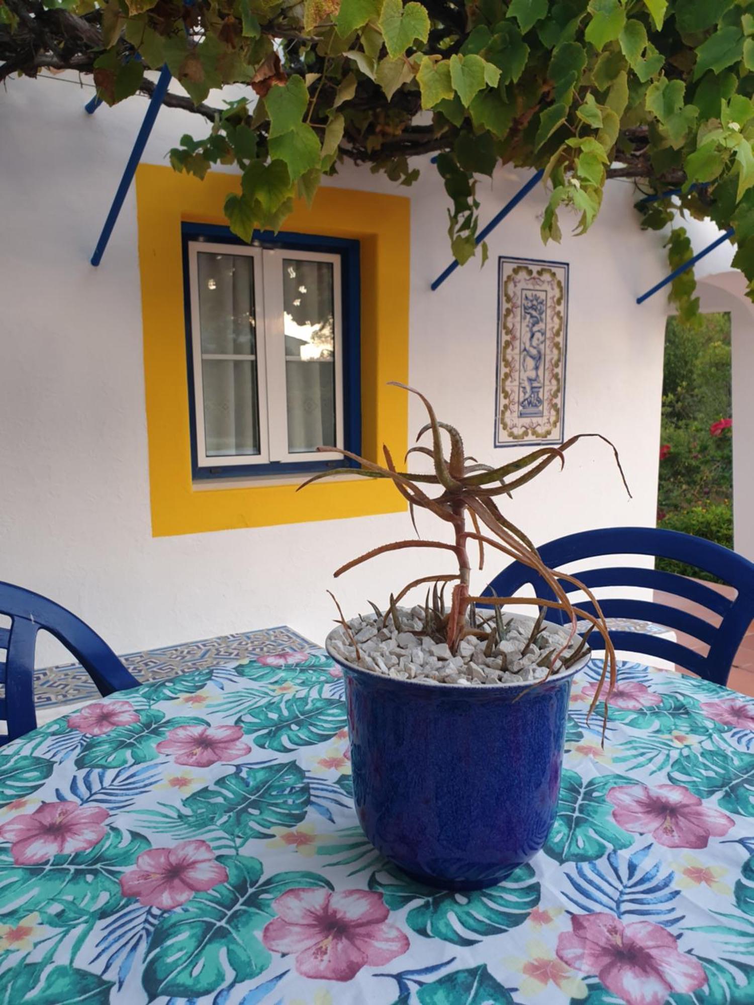 Villa Sondela Self Catering São Martinho do Porto Exterior foto