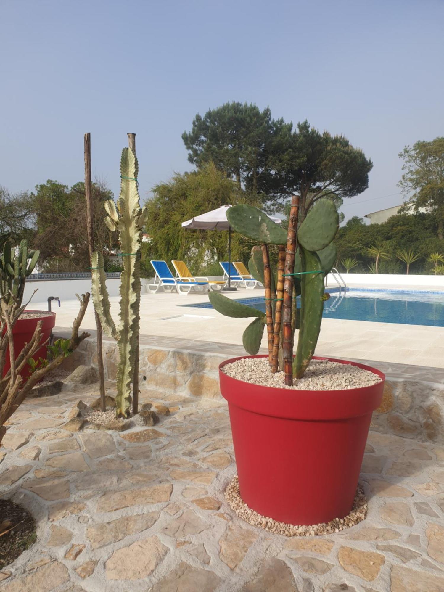 Villa Sondela Self Catering São Martinho do Porto Exterior foto