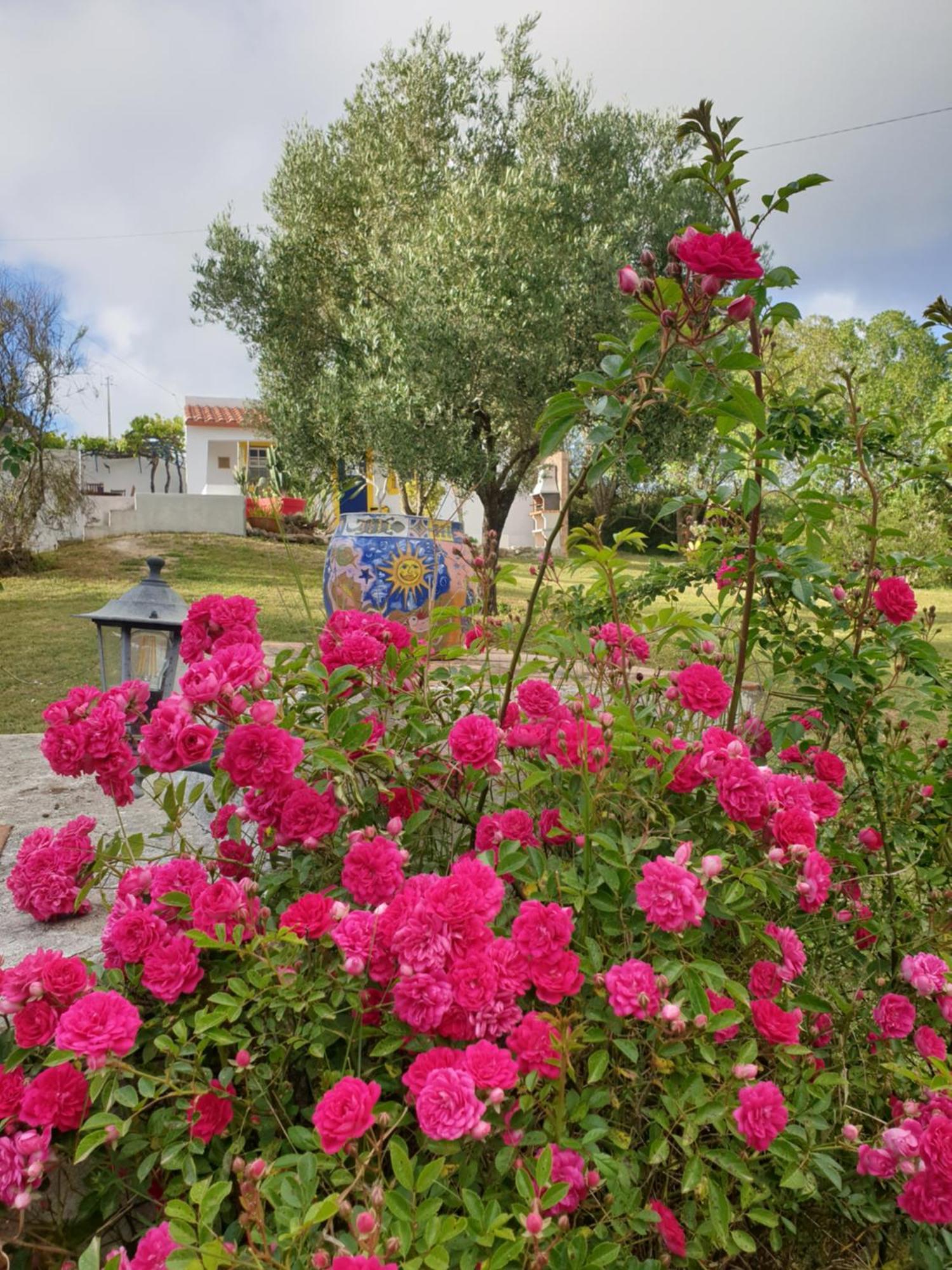 Villa Sondela Self Catering São Martinho do Porto Exterior foto