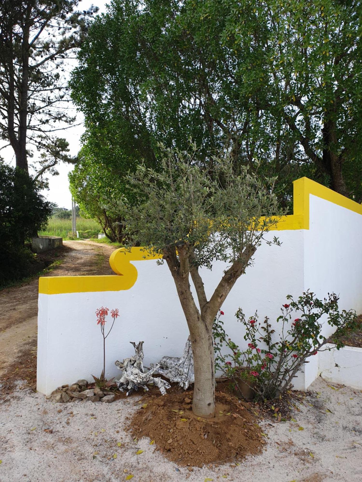 Villa Sondela Self Catering São Martinho do Porto Exterior foto
